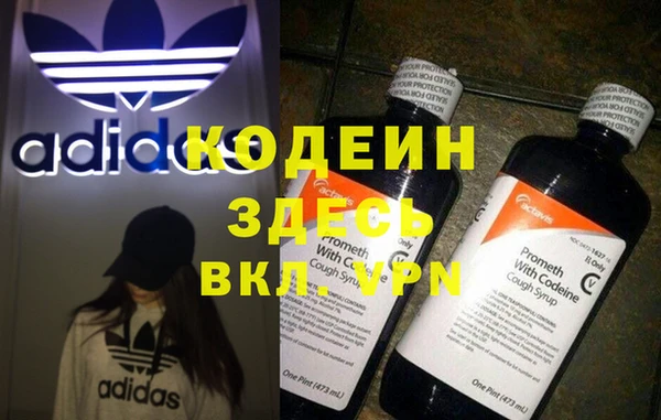 ПСИЛОЦИБИНОВЫЕ ГРИБЫ Алзамай