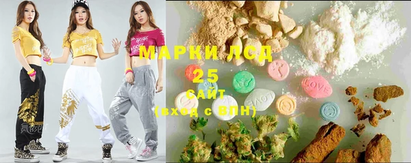 ПСИЛОЦИБИНОВЫЕ ГРИБЫ Алзамай