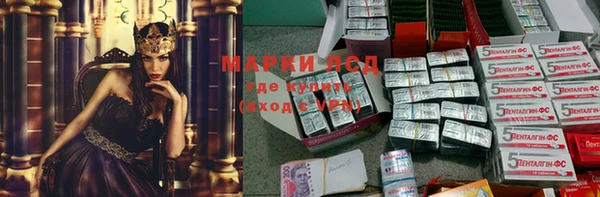 ПСИЛОЦИБИНОВЫЕ ГРИБЫ Алзамай