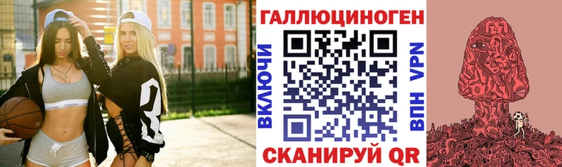 Псилоцибиновые грибы Psilocybe Белореченск